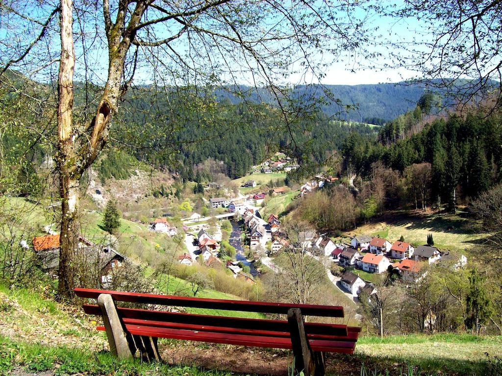 Landhaus Schwaben Schonmunzach Екстериор снимка